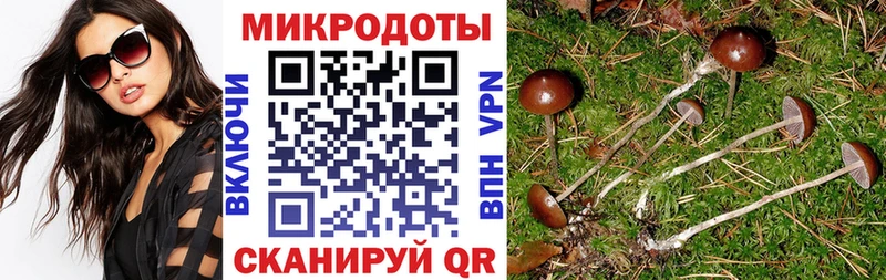 Псилоцибиновые грибы GOLDEN TEACHER  Сарапул 